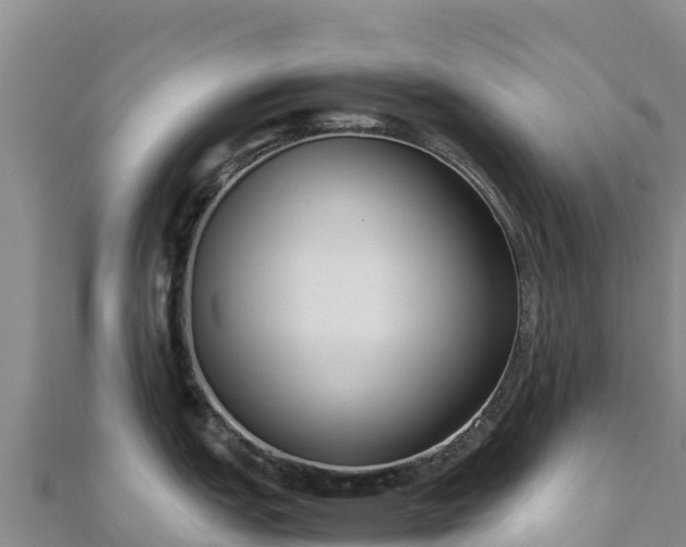 X0000110731151200906191521