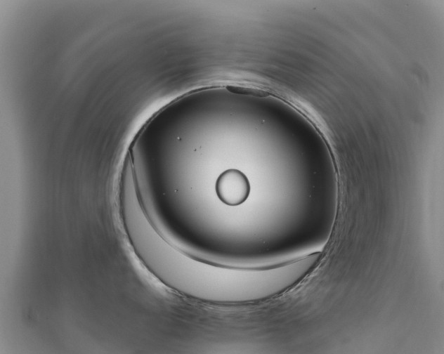 X0000110731152200906191521