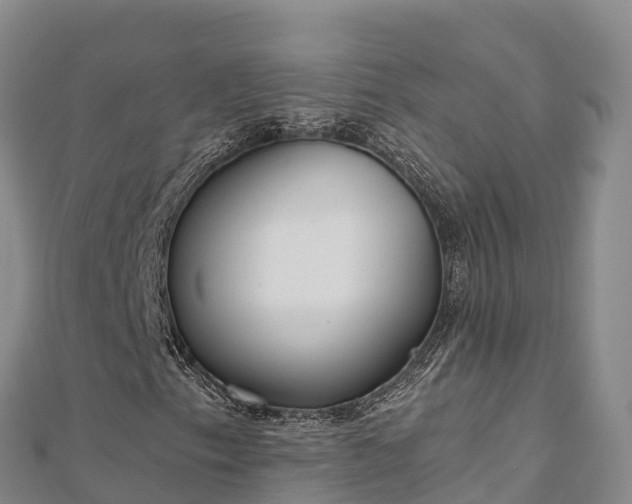 X0000110731153200906191520