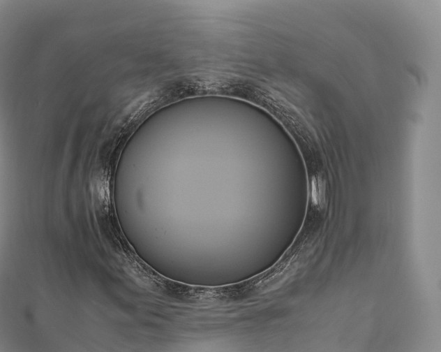 X0000110731155200906191520