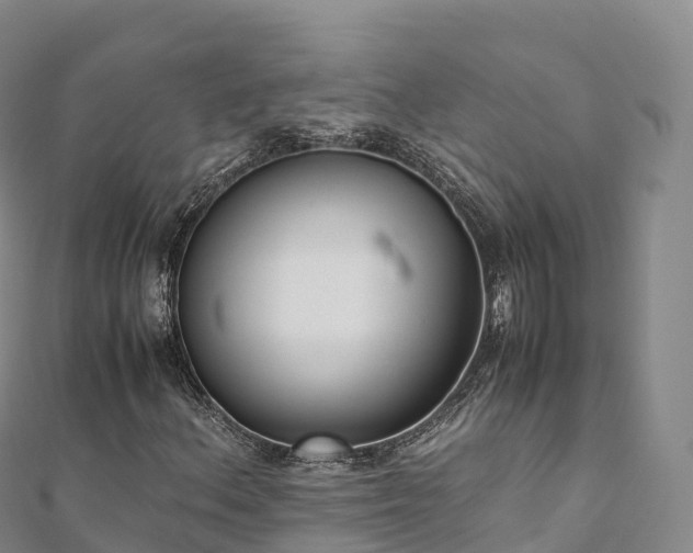 X0000110731156200906191520