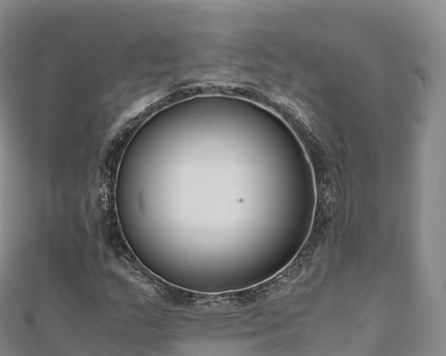 X0000110731159200906191520