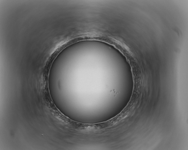 X0000110731160200906191520