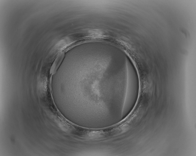 X0000110731161200906191520