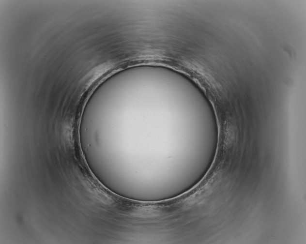 X0000110731162200906191520