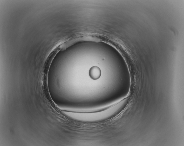 X0000110731165200906191520