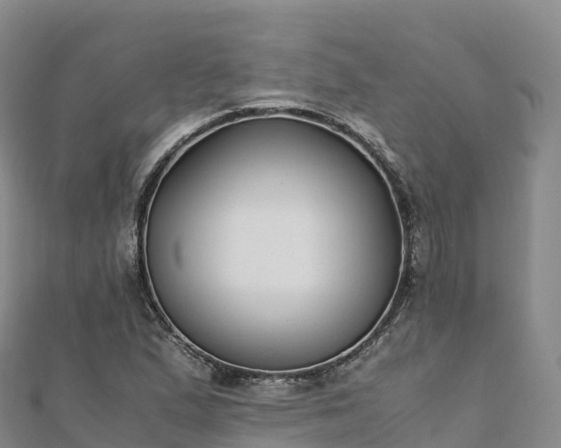 X0000110731167200906191520