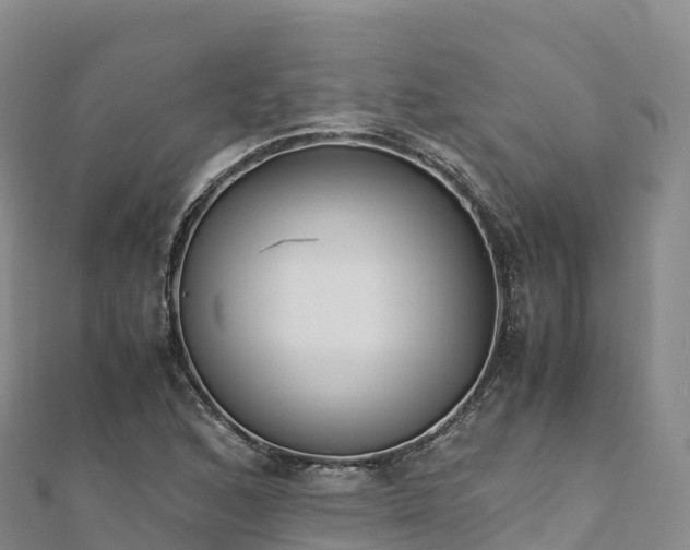 X0000110731168200906191520