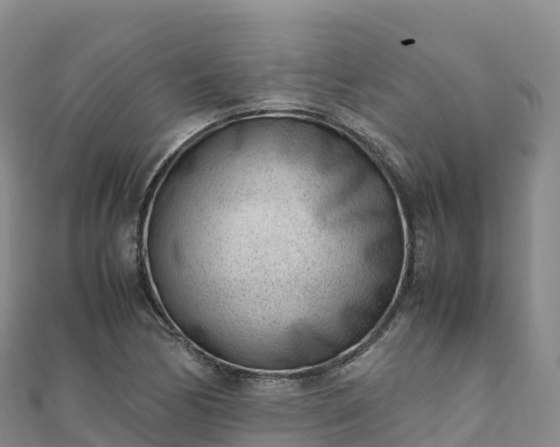 X0000110731170200906191520