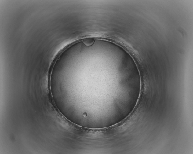 X0000110731174200906191520