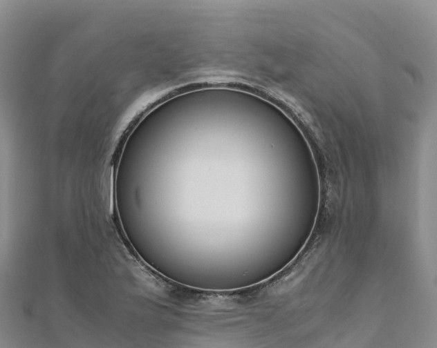 X0000110731175200906191520