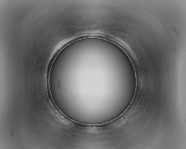 X0000110731176200906191520