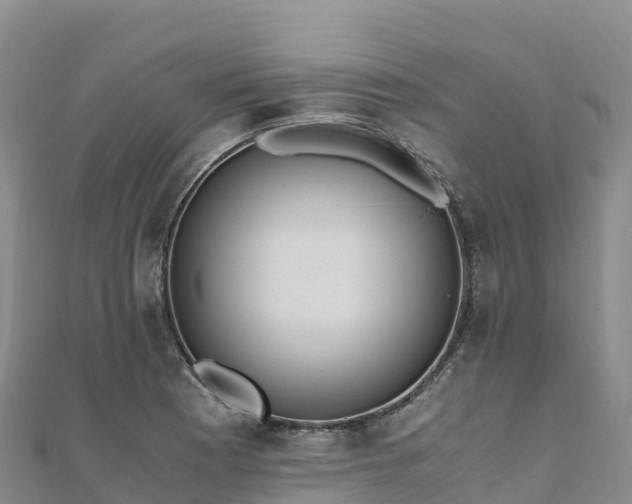 X0000110731177200906191520