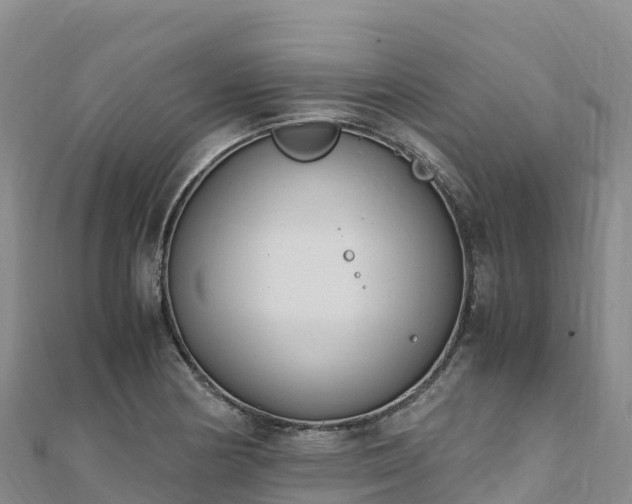 X0000110731178200906191520