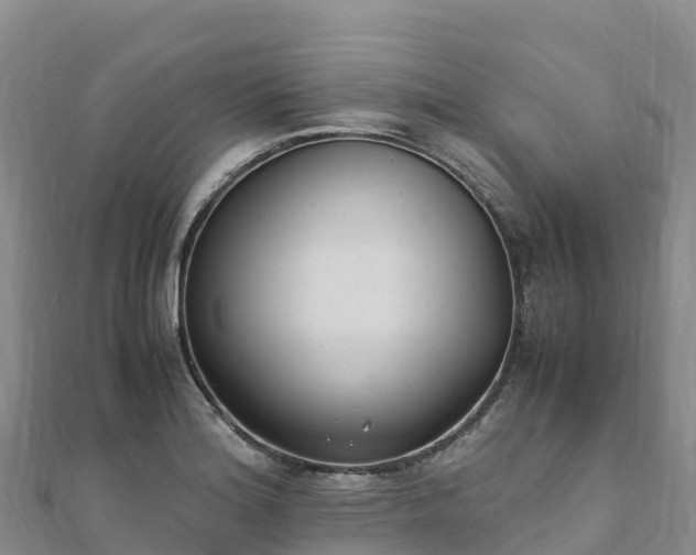 X0000110731180200906191520