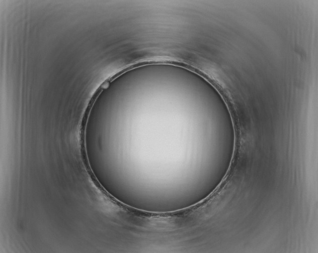 X0000110731181200906191520