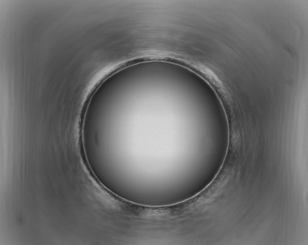 X0000110731183200906191520