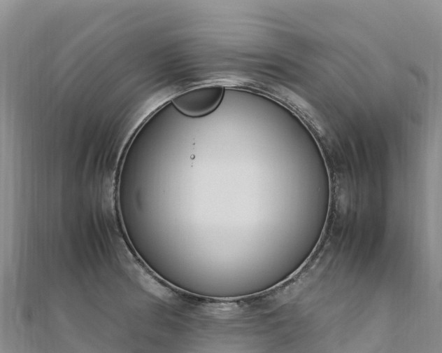 X0000110731186200906191520