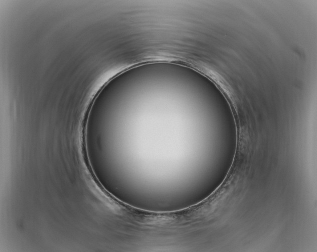 X0000110731187200906191520