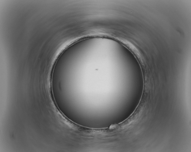 X0000110731191200906191520