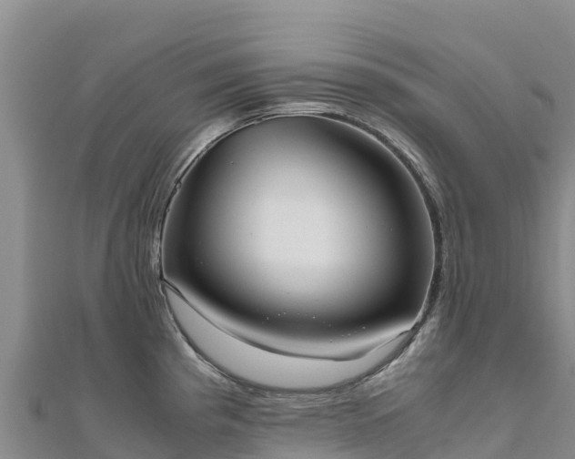 X0000110731193200906191520