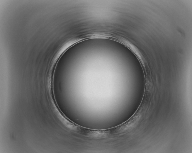 X0000110731195200906191520