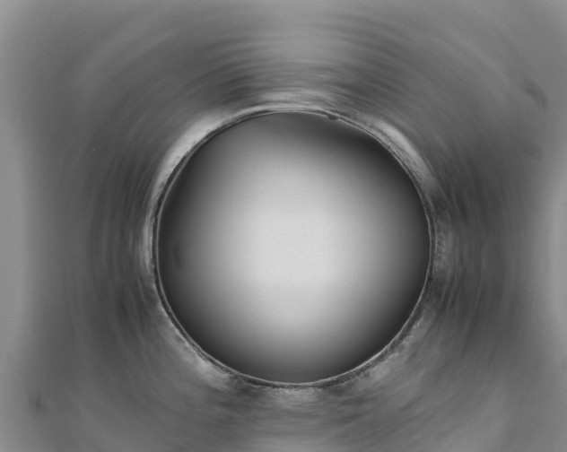 X0000110731196200906191520