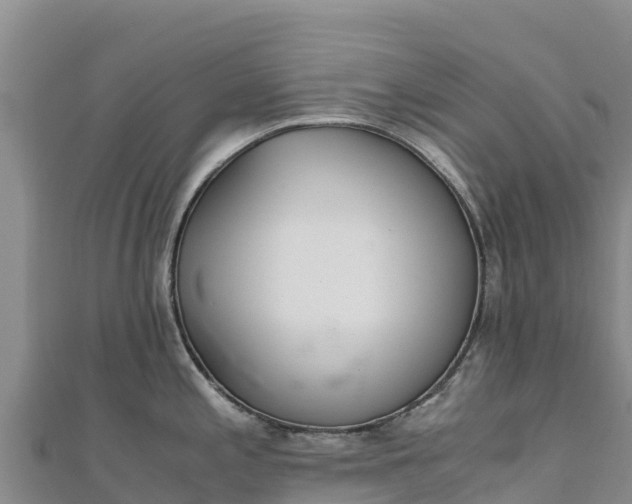 X0000110731197200906191520