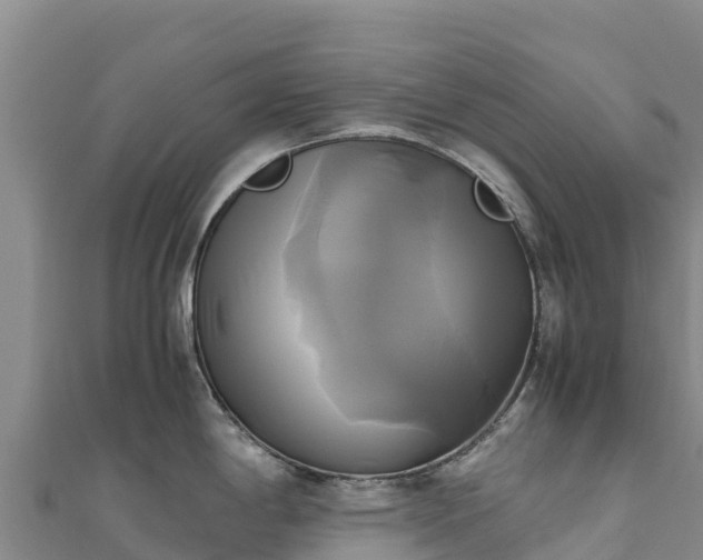 X0000110731198200906191520