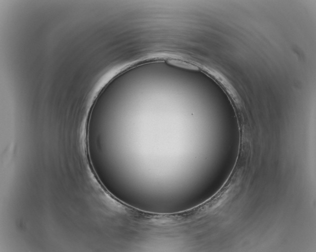 X0000110731199200906191520