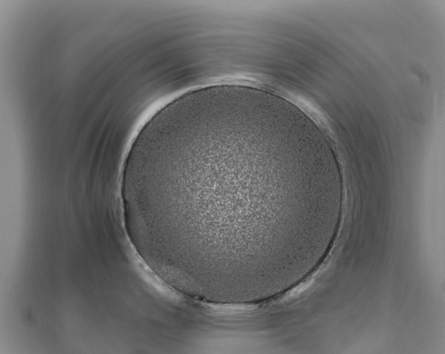 X0000110731200200906191520