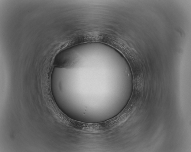 X0000110731201200906191519