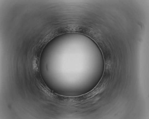 X0000110731202200906191519