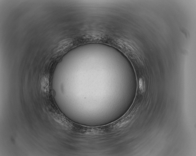 X0000110731203200906191519