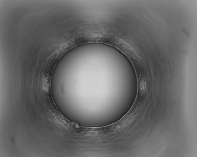 X0000110731204200906191519