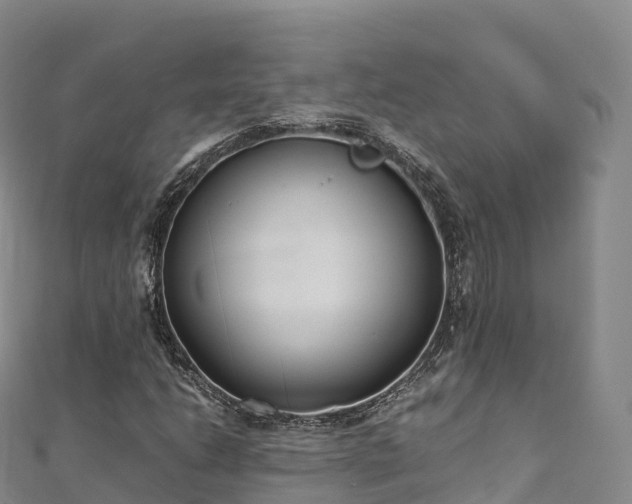 X0000110731206200906191519