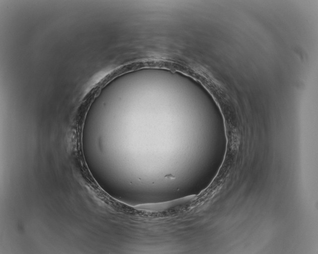 X0000110731208200906191519