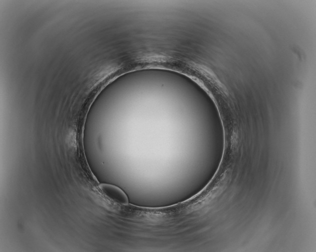 X0000110731209200906191519