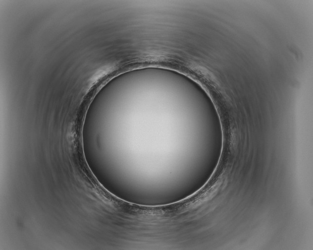X0000110731210200906191519