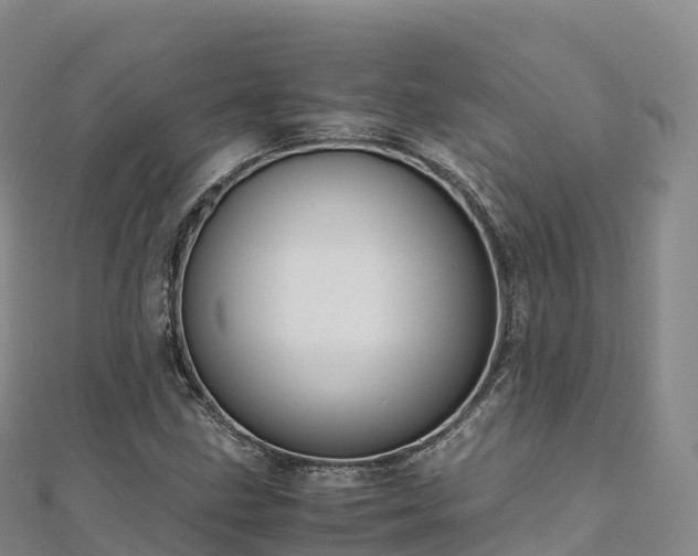 X0000110731211200906191519