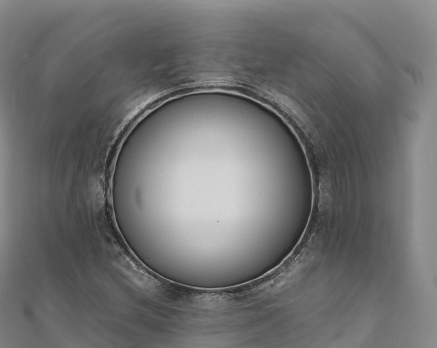 X0000110731212200906191519
