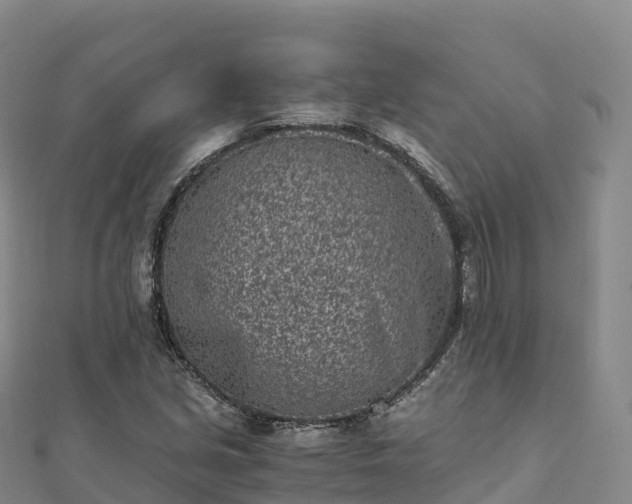 X0000110731213200906191519