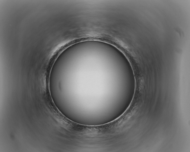 X0000110731214200906191519