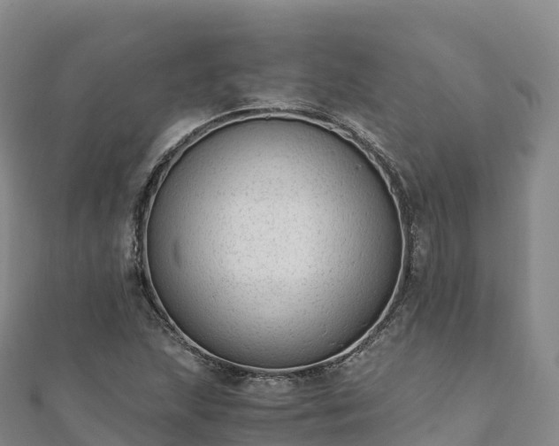 X0000110731215200906191519