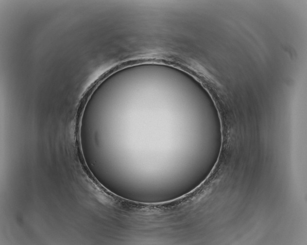X0000110731216200906191519