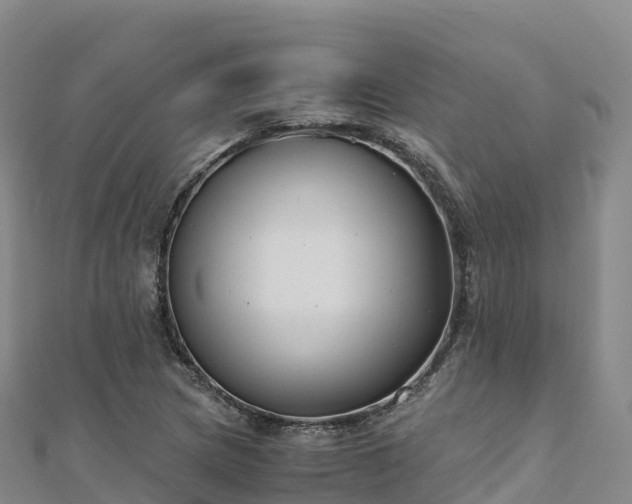 X0000110731217200906191519