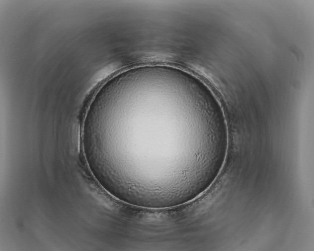 X0000110731219200906191519