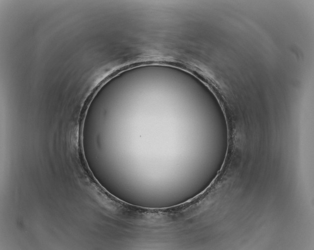 X0000110731220200906191519