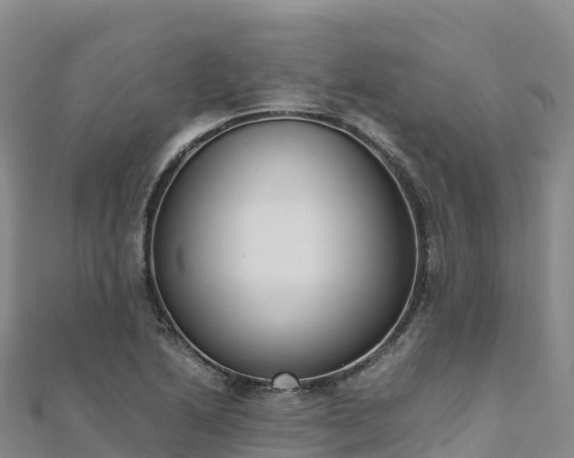 X0000110731222200906191519