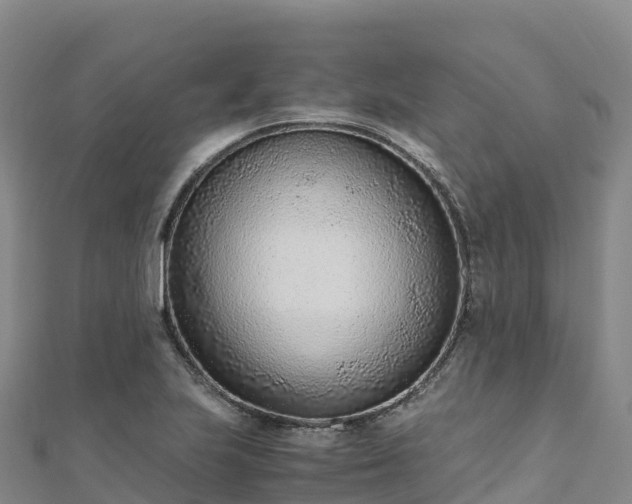X0000110731223200906191519